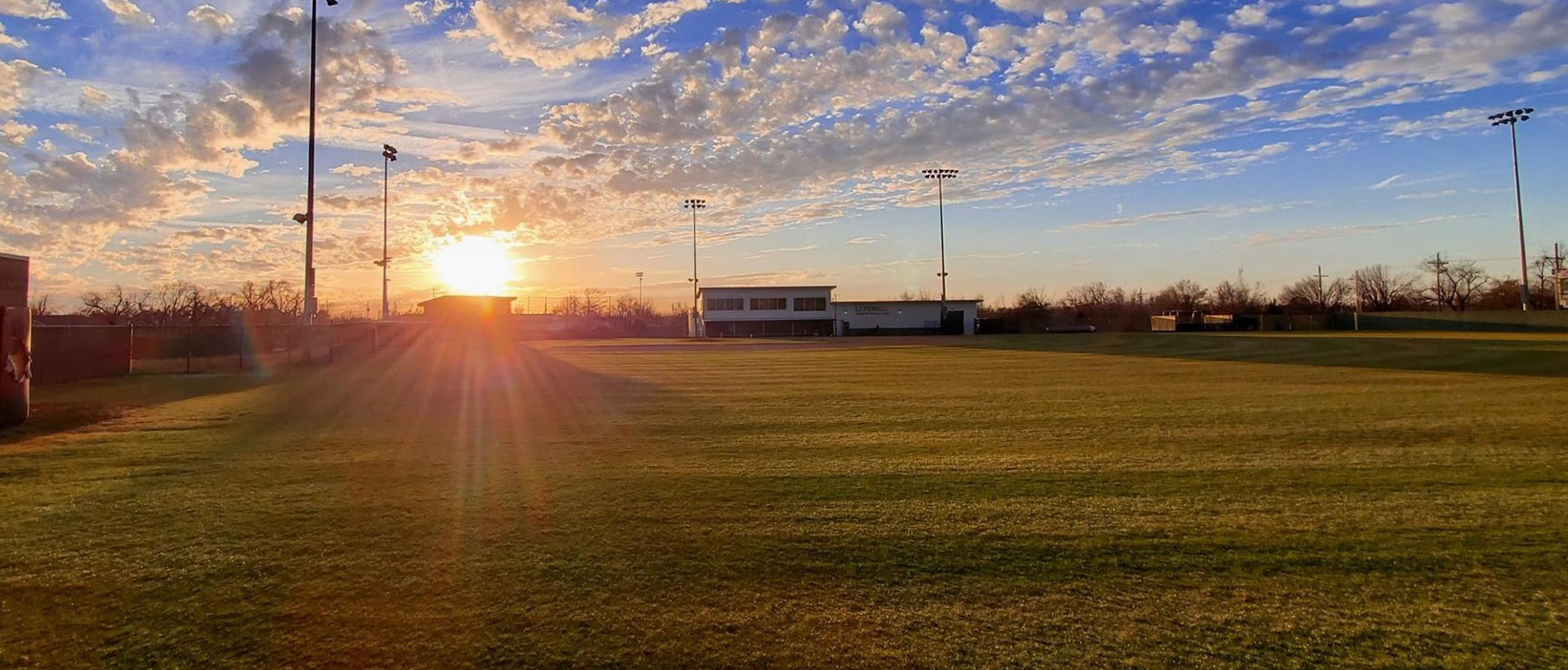 Field with sunset
